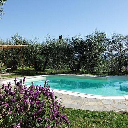 Agriturismo Il Castagnolino Сан Джиминяно Екстериор снимка